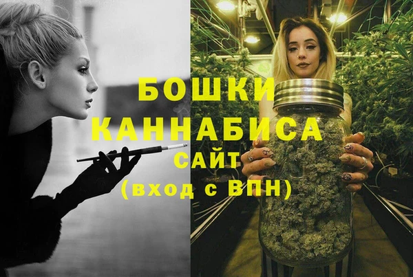 молекула духа Краснослободск
