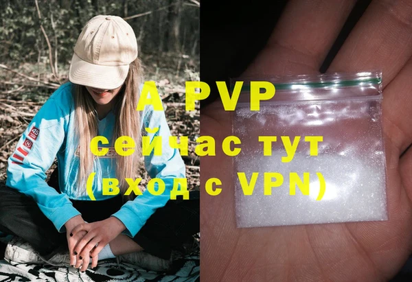молекула духа Краснослободск