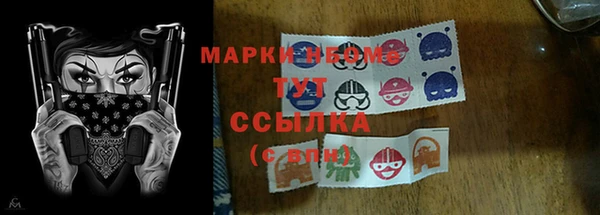 молекула духа Краснослободск