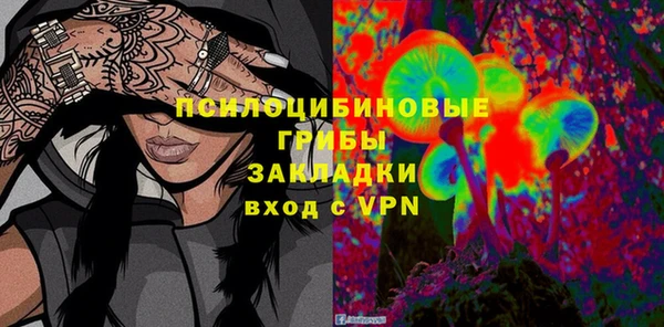 молекула духа Краснослободск