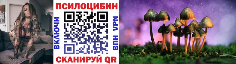 Галлюциногенные грибы Cubensis  закладка  Лодейное Поле 